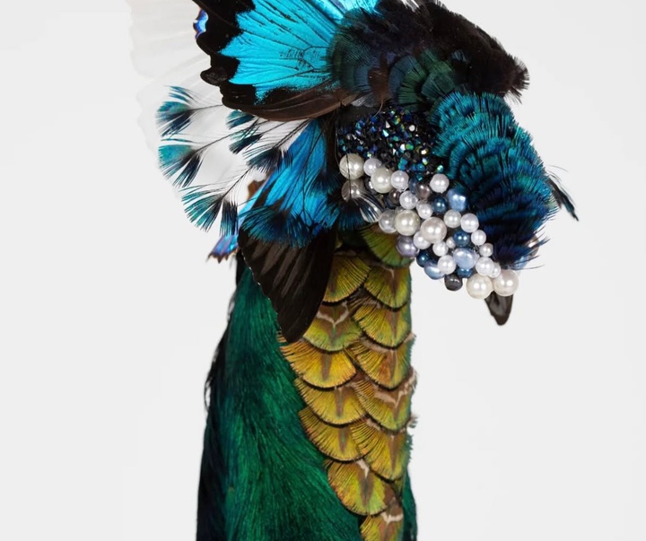 Gallery of Sculpture by Cedric Laquieze - USA