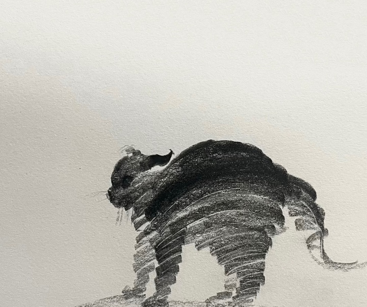 Gallery of Drawing by Shou Xin - China