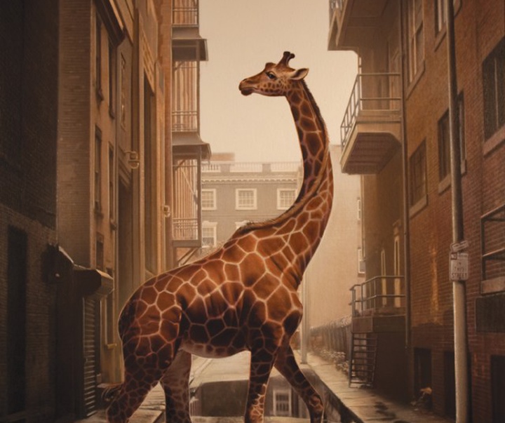 giraffe alley