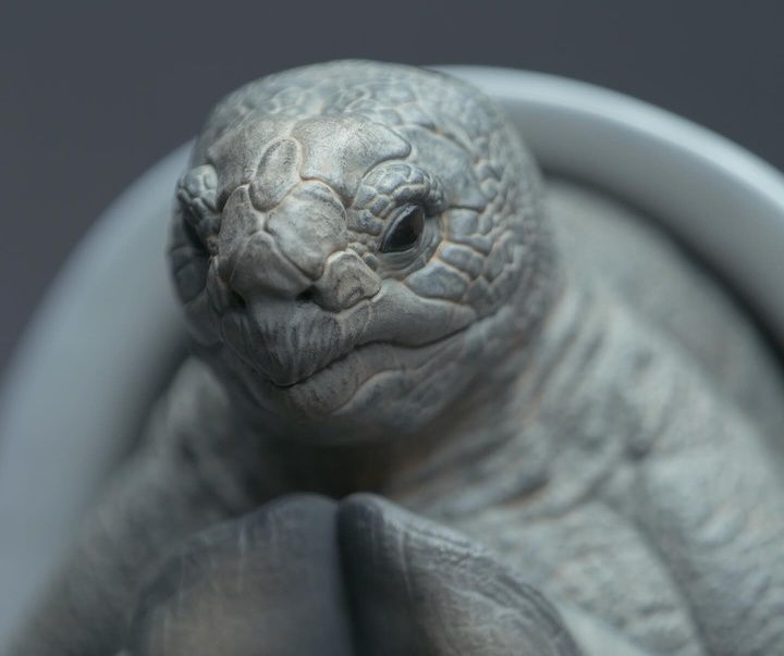 Gallery of Sculpture by cheul kyun - South Korea