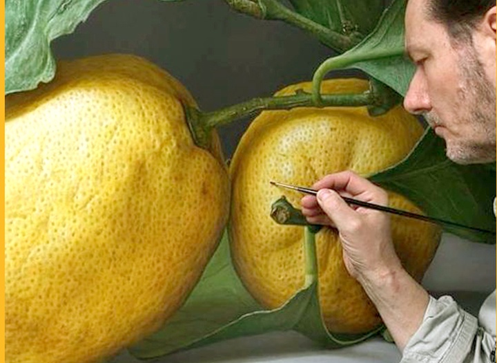 Gallery of painting - Hyper realism