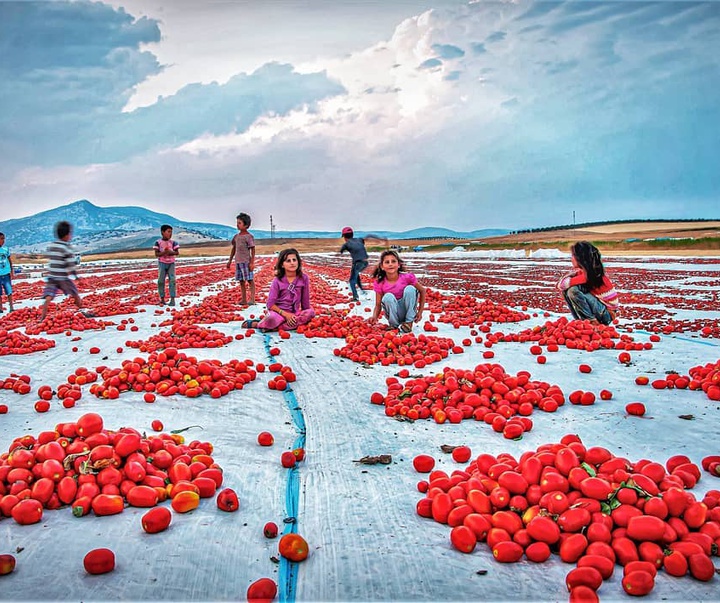 Gallery of photography by Dr.Aylin Yildirim - Turkey