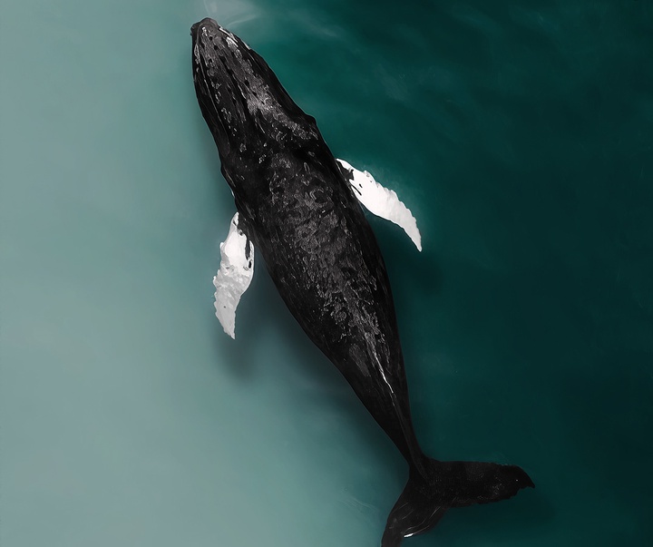 Gallery of Photography by Joanna Steidle - USA