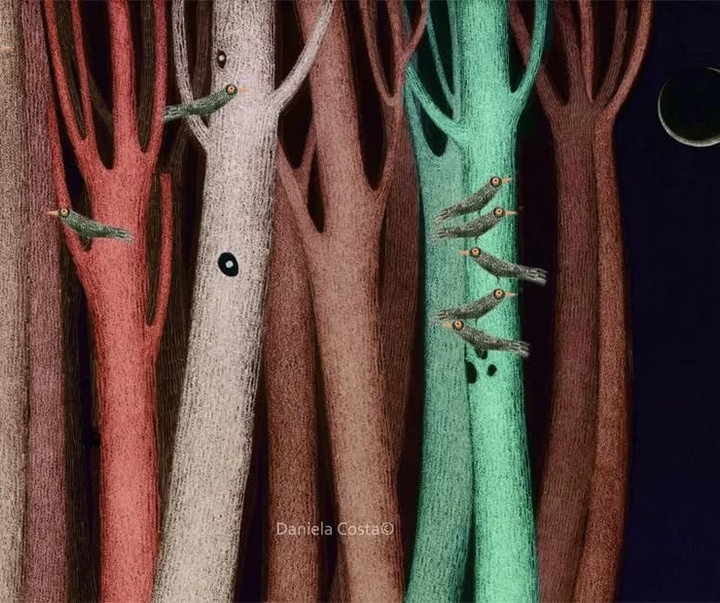 Gallery of Illustration by Daniela Costa - Italy