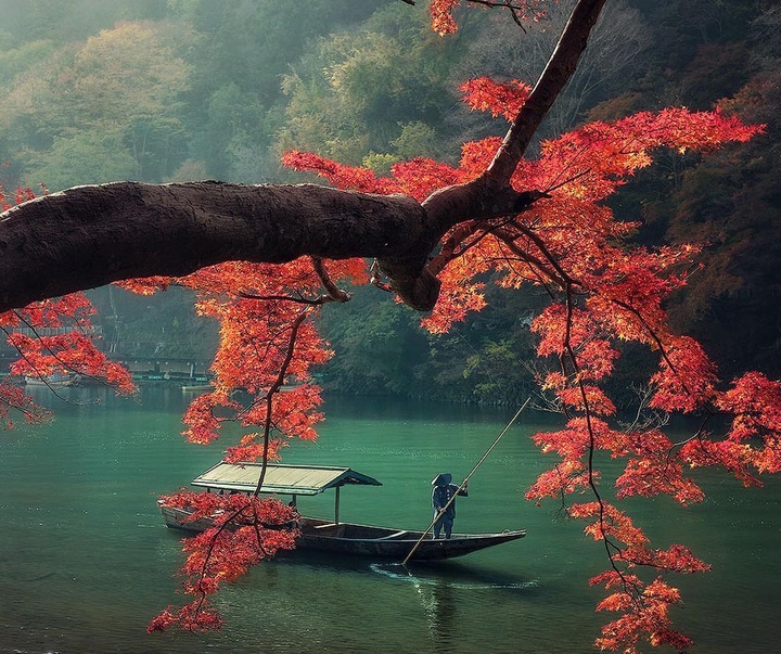 Gallery of Photography by Juan Solís