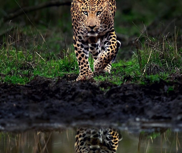 Gallery of Photography by Mithun Hunugund