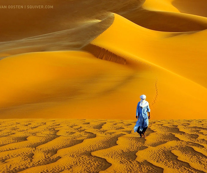 Gallery of Photography by Marsel van Oosten- Netherlands