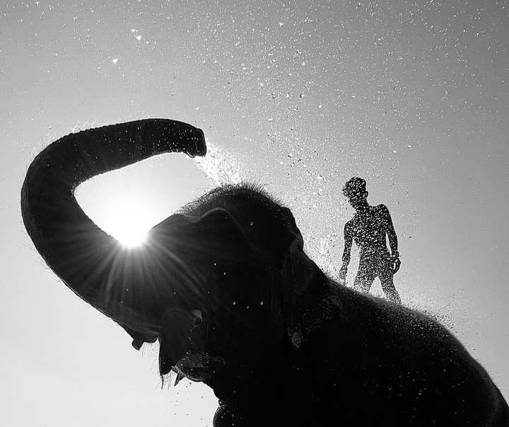 Gallery of Photography by Dimpy Bhalotia - India