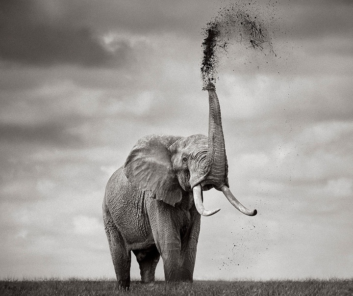 Gallery of Photography by Drew Doggett - USA