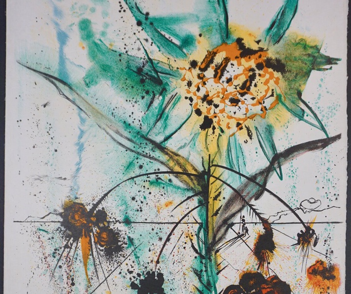 Gallery of Salvador Dali lithographs and metal engravings-Spain