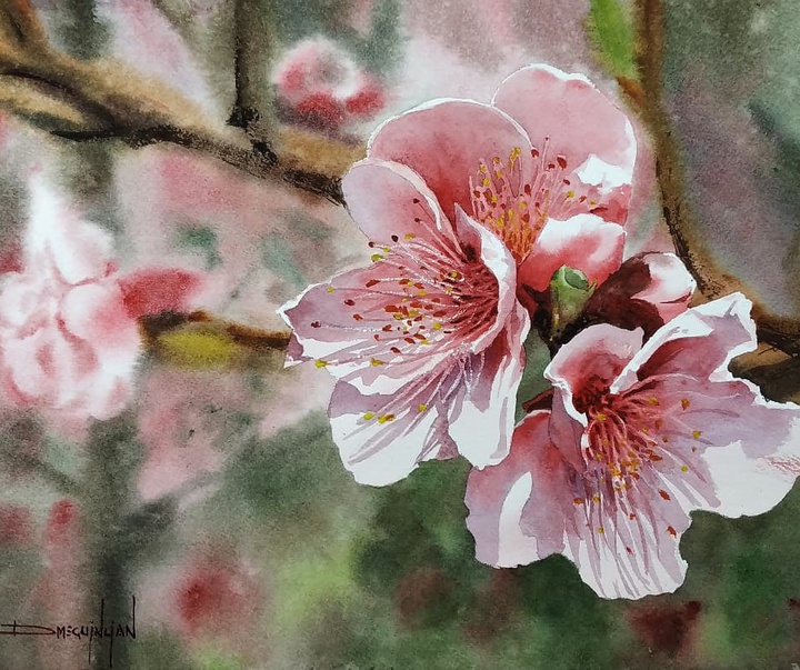 Gallery of Watercolor painting by Diego Eguinlian- Argentina