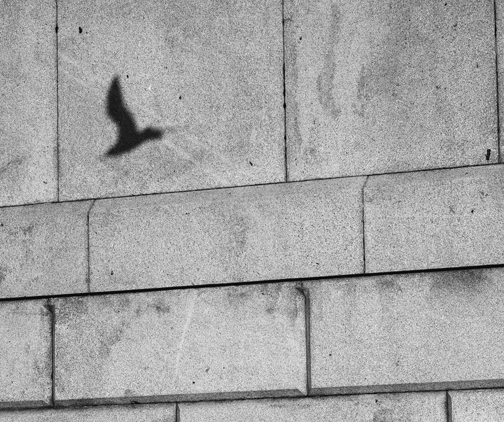 Gallery of Photography by Darren Sacks - UK
