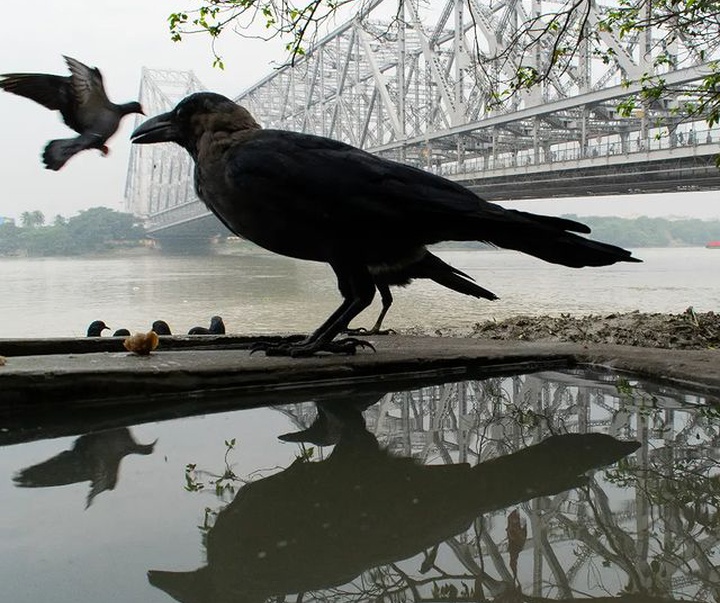 Gallery of photography by Tanay Sahoo-India