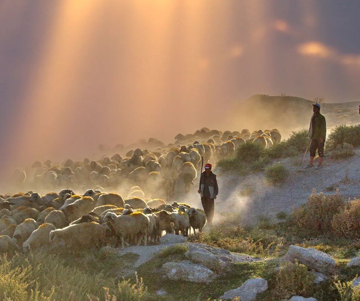 Gallery of photography by Mustafa Shahbaz - Turkey