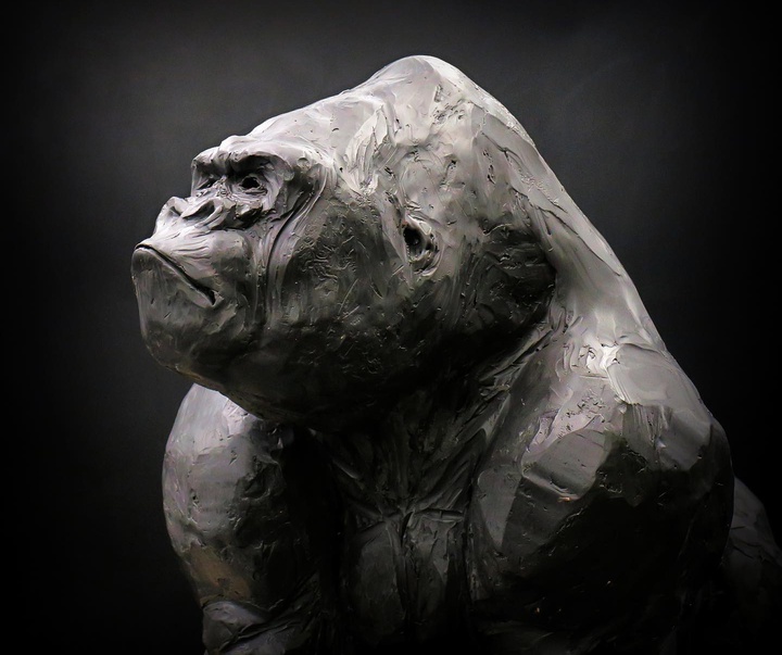 Gallery of sculpture by Michael Rumiz from France