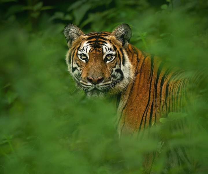 Gallery of Photography by Mithun Hunugund