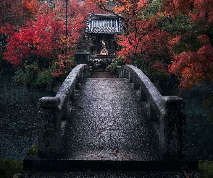 Gallery of Photography by Juan Solís
