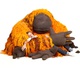 Gallery of Modern Art by Porky Hefer - South Africa