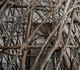 Gallery of Sculpture by Sol Bailey Barker - UK
