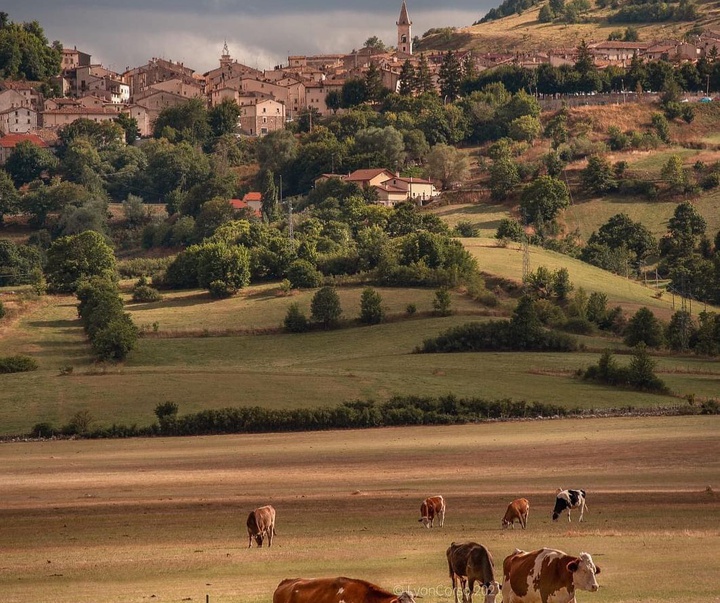 Gallery of Photography by Lyon Corso - Italy