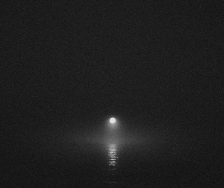 Gallery of Photography by Josiah Farrow - USA