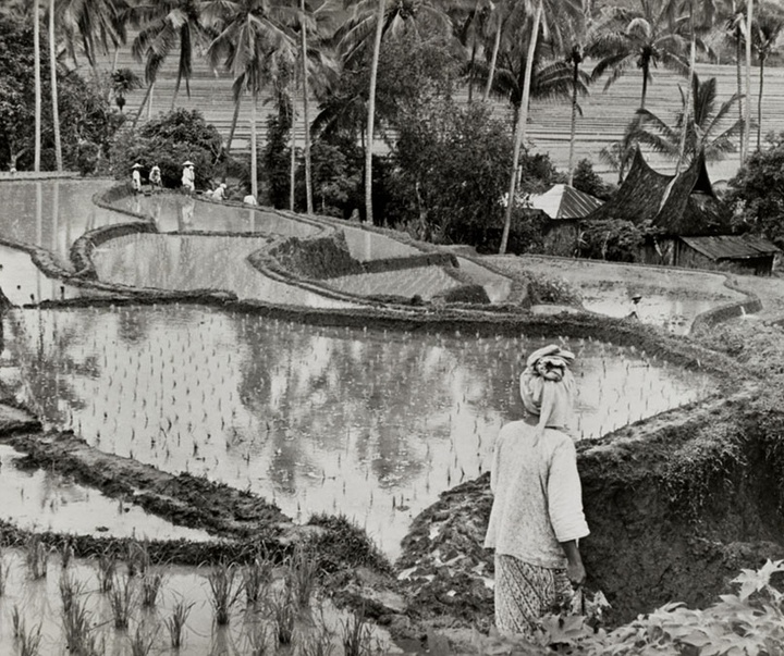 Gallery of Photos by Henri Cartier-Bresson-50s & 60s