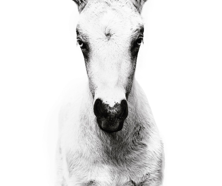 Gallery of Photography by Gigja Einars - Iceland