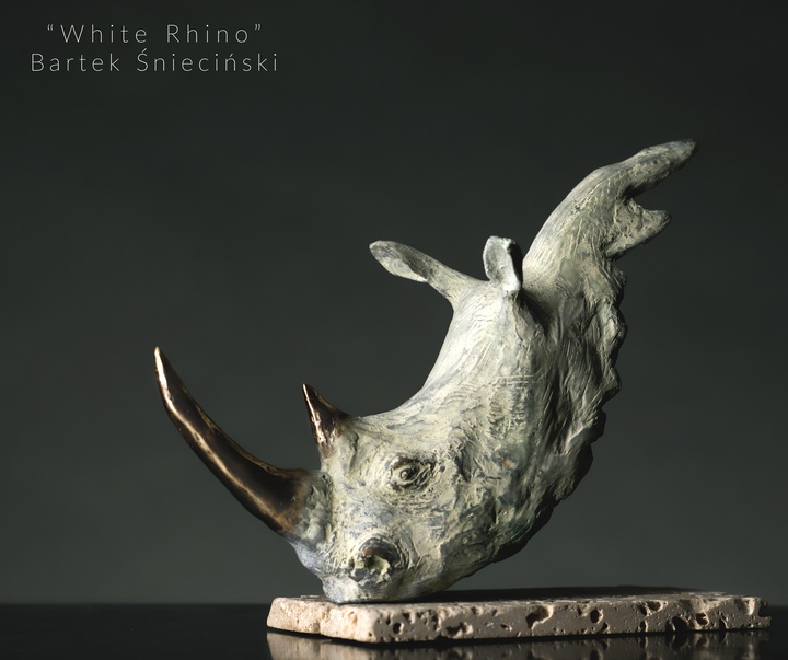 Gallery of Sculpture by Bartek Śnieciński - Poland