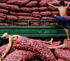 Gallery of Photography by Hersley-Ven Casero - Philippines