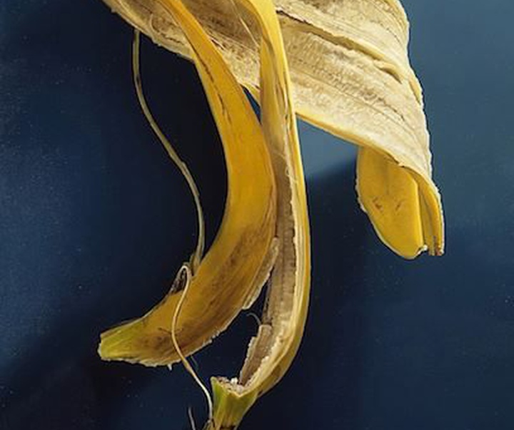 Gallery of painting - Hyper realism