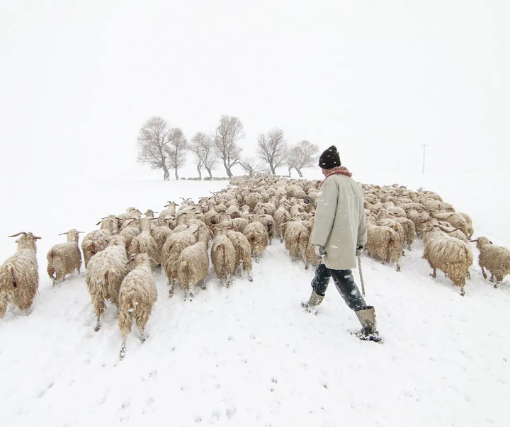 Gallery of photography by Mustafa Shahbaz - Turkey