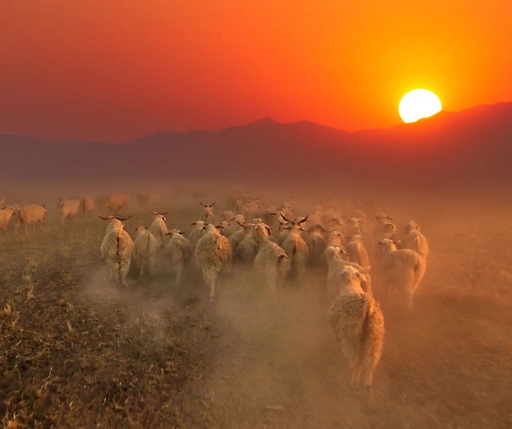 Gallery of photography by Mustafa Shahbaz - Turkey