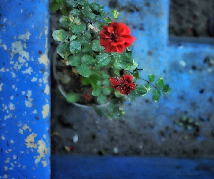 Gallery of Photography by Saeid Solimani-Iran