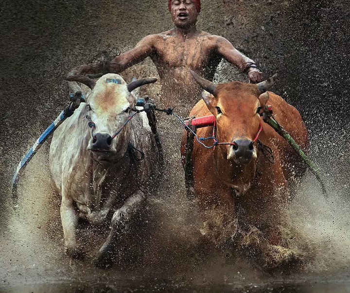 Gallery of Photography by Rarindra Prakarsa - Indonesia