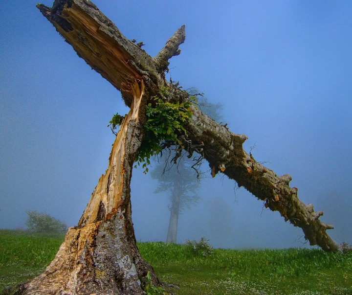 Gallery of Photography by Javad Jahanbin- Iran