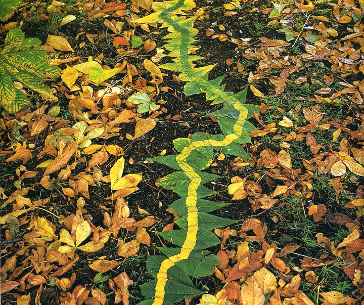 Gallery of Modern Art by Andy Goldsworthy - England