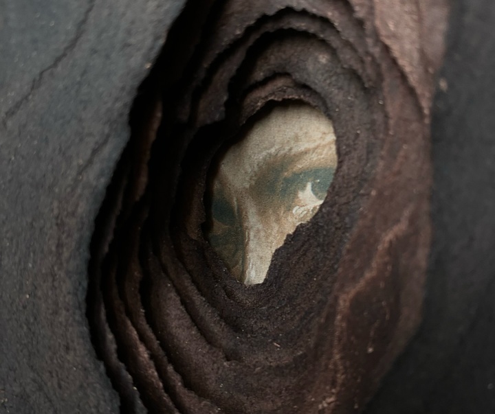 Gallery of Photography by Ramona Zordini - Italy