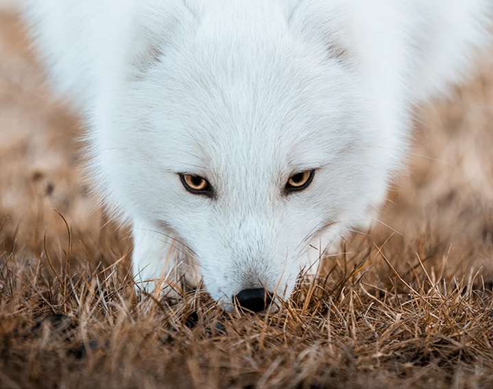 Gallery of Photography by Dani Guindo - Spain