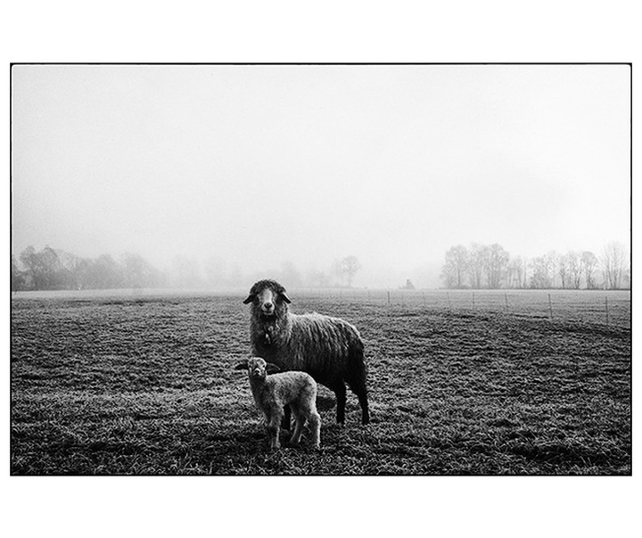 Gallery of photography by Ando Fuchs - Austria