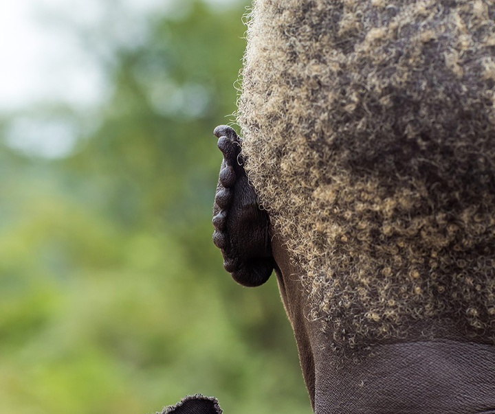 Gallery of Photography by Eric Lafforgue - France