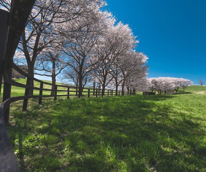 Gallery of Photography by Fujio Kamimura - Japan