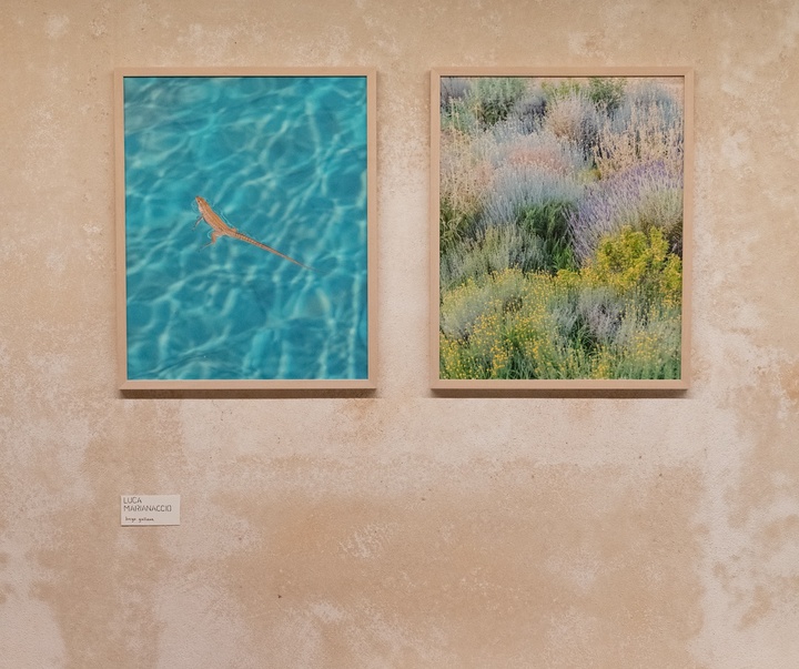 Gallery of Photography by Luca Marianaccio - Italy