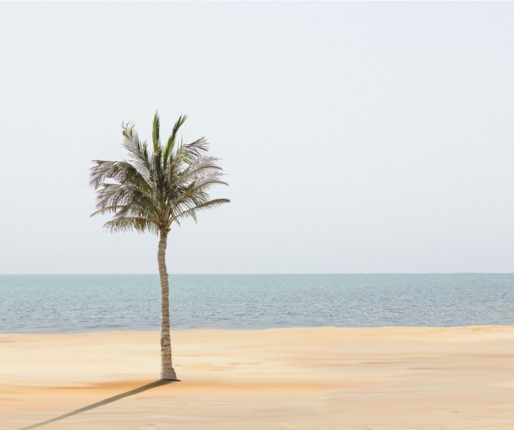 Gallery of photography by Ramleh Kargar-Iran