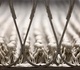 Gallery of Sculpture by Lido Rico - Spain