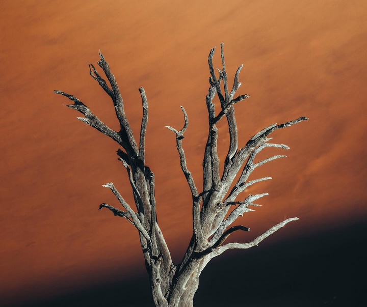 Gallery of Photography by Luke Stackpoole - UK