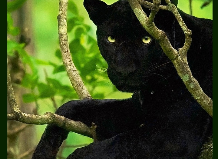 Gallery of Photography by Mithun Hunugund