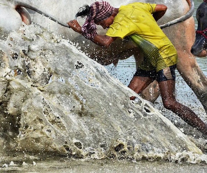 Gallery of Photography by Pranay Pariyar - India