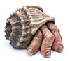 Gallery of Sculpture by Rick Oerlemans - Netherlands