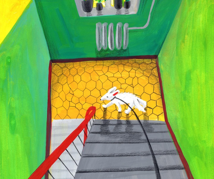 Gallery of Illustration by Maria Pavlikova - Russia