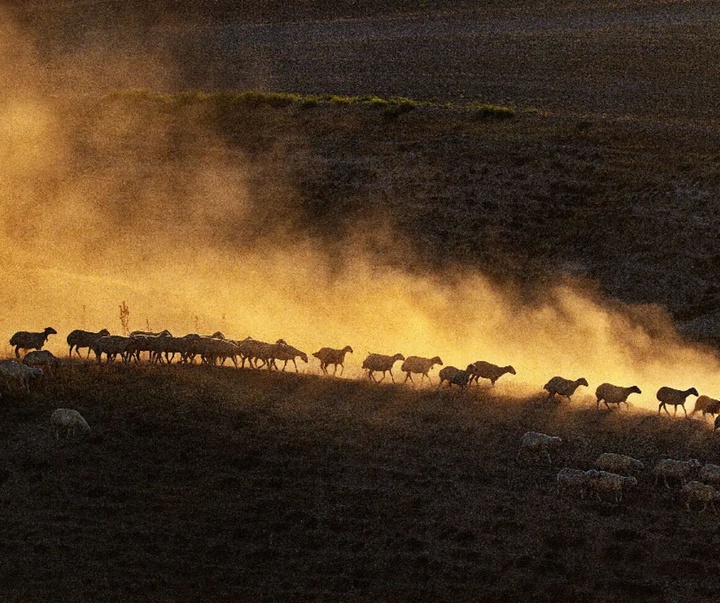 Gallery of photography by Mustafa Shahbaz - Turkey